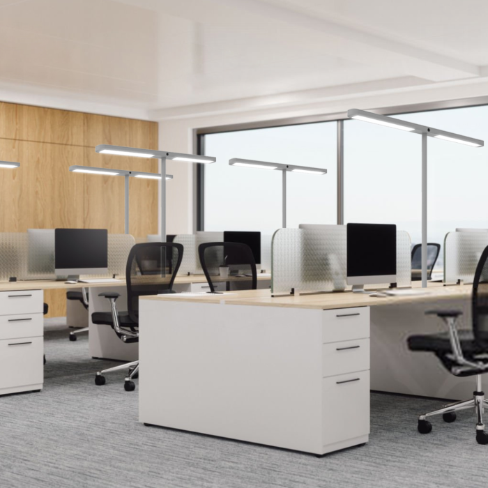 Linear luminaires above desks and screens in a shared office
