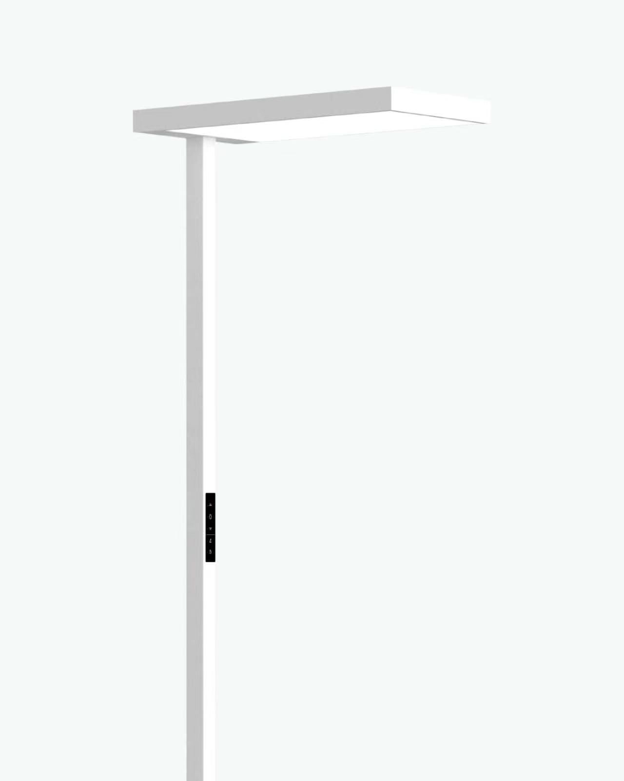 Malo-C office floor lamp family