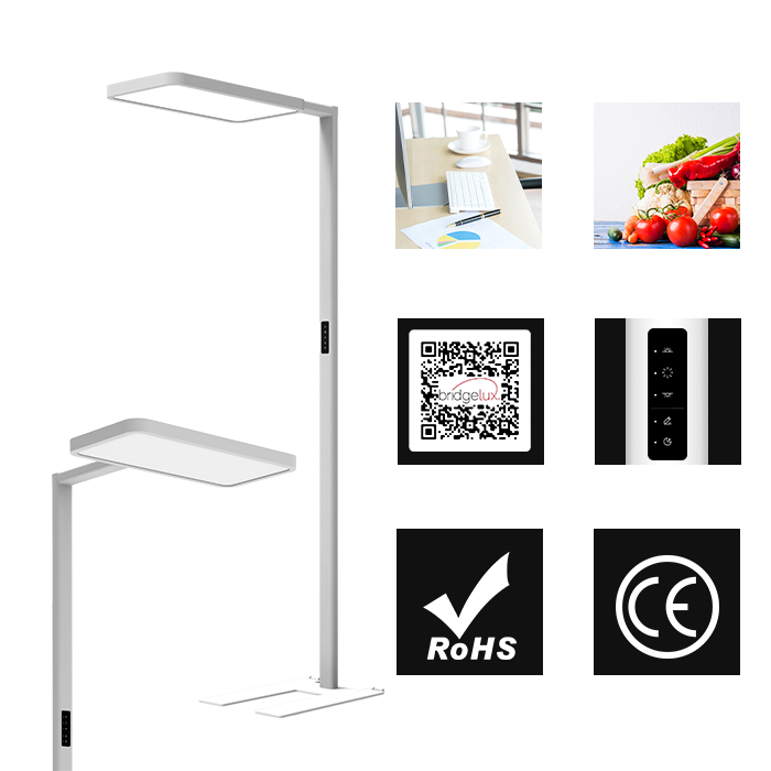 Luminaire free standing