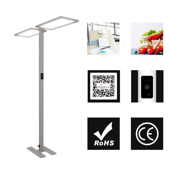 Free standing LED light
