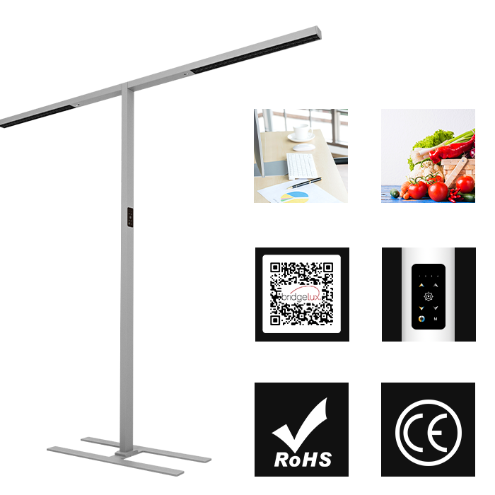 Workstation lighting